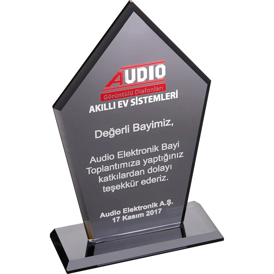 EKT-161 12 x 21 cm Kristal Plaket
