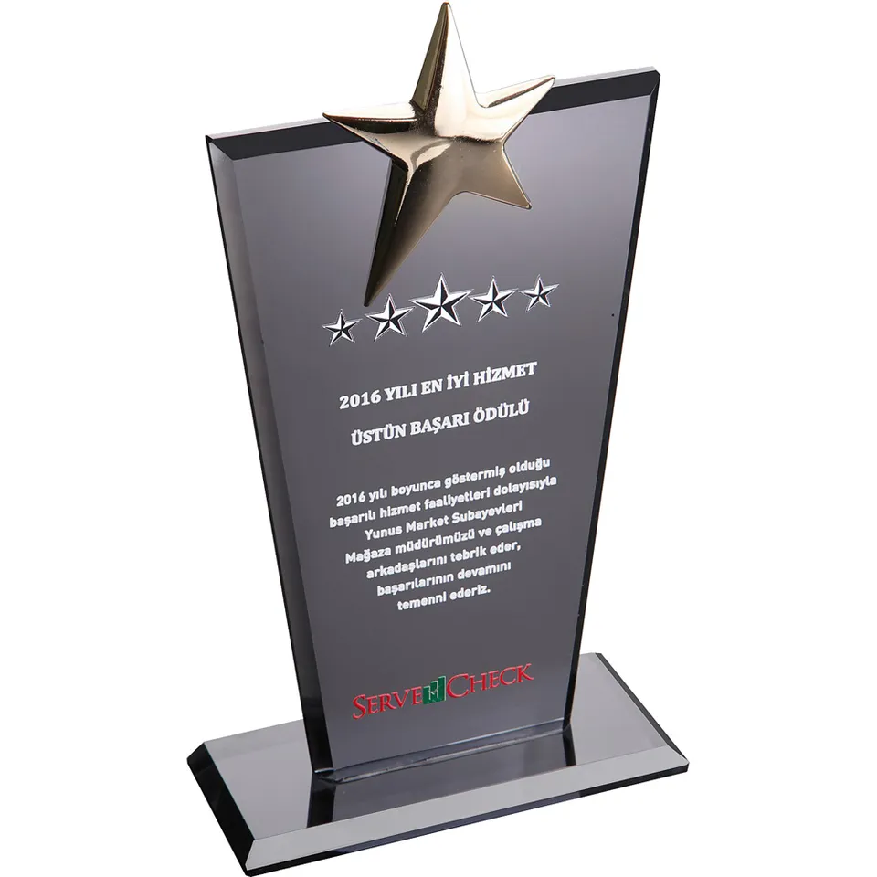 EKT-128 12 x 21 cm Kristal Plaket