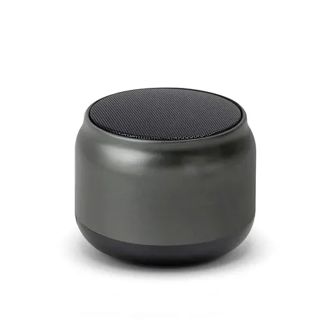 SPK-45 Speaker